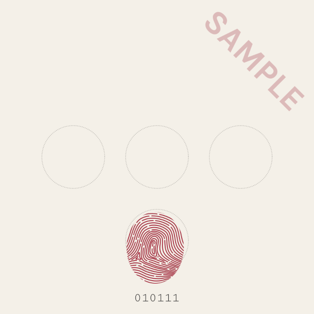 Example of an NFT with a fingerprint
